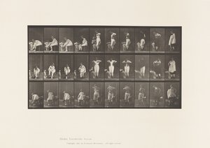 Plate 494. Miscellaneous Phases of the Toilet 作者 爱德沃德·迈布里奇