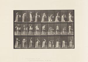 板块496. 1885年，厕所的各个阶段 作者 爱德沃德·迈布里奇