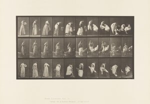 板块497. 1885年，厕所的各个阶段 作者 爱德沃德·迈布里奇