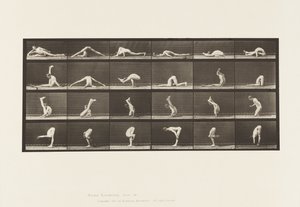 板块510.地面上的扭曲，1872-1885 作者 爱德沃德·迈布里奇