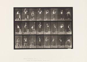 Plate 517. Miscellaneous Movements with a Water Jar 作者 爱德沃德·迈布里奇