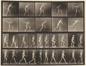 板519. A，投掷盘; B，上升步骤; C，Walking。，1872-1885 作者 Eadweard Muybridge