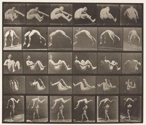 板号522。A，97跳； B，98弹簧； C，98筋斗 作者 Eadweard Muybridge