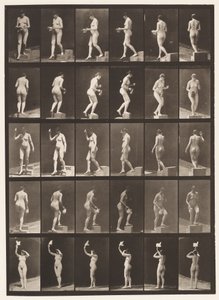 板525. A，下降步骤; B，Ascending Step;，1872-1885 作者 Eadweard Muybridge
