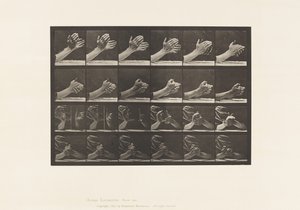板533.手的移动;紧握手，1885年 作者 爱德沃德·迈布里奇