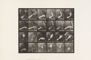 板535.手的运动;击败时间，1885年