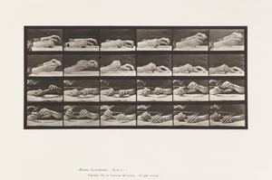 Plate 536. Movement of the Hand; Hands Changing Pencil 作者 Eadweard Muybridge