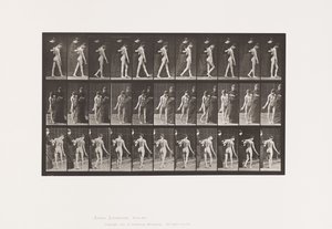 Plate 541. Multiple Cerebro-Spinal Sclerosis (Choreic); Walking 作者 爱德沃德·迈布里奇