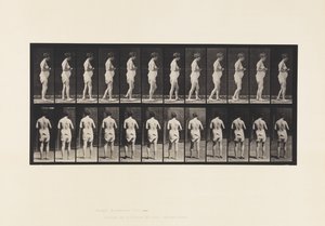 Plate 542. Multiple Cerebro-Spinal Sclerosis - Walking 作者 爱德沃德·迈布里奇