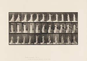 板块55.走路，转身，厌恶的行动，1885年 作者 爱德沃德·迈布里奇