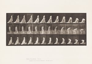 Plate 56. Walking, Turning and Stooping to Lift Train 作者 爱德沃德·迈布里奇
