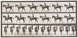 板580.Walking;鞍; Thoroughbred Bay Mare Annie G.，1885 作者 爱德沃德·迈布里奇