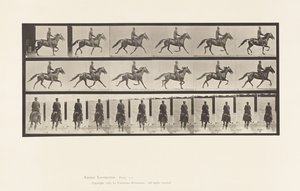 Plate 592. Rocking (Pacing): Saddle; Brown Horse Pronto 作者 爱德沃德·迈布里奇