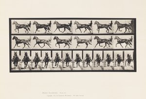 Plate 595. Rocking (Pacing): Sulky; Brown Horse Pronto 作者 爱德沃德·迈布里奇