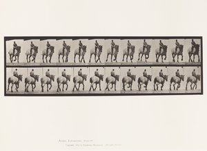 Plate 599. Trotting; Bareback; Dark-Gray Dusel 作者 爱德沃德·迈布里奇