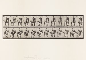Plate 600. Trotting; Bareback; Dark-Gray Dusel 作者 爱德沃德·迈布里奇