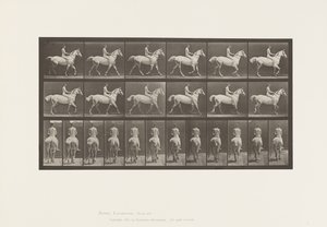 板602.Trotting; Bareback;骑士，43岁，裸体;浅灰色马史密斯，1885年 作者 爱德沃德·迈布里奇