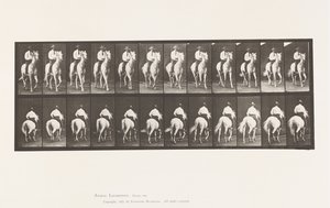 Plate 604. Trotting; Saddle; White Horse, Elberon 作者 爱德沃德·迈布里奇