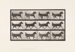 Plate 606. Trotting; Sulky; Bay Horse, Reuben 作者 爱德沃德·迈布里奇