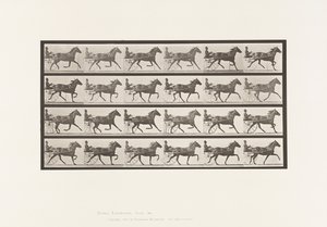 Plate 609. Trotting; Sulky; Bay Mare, Lizzie M. 作者 爱德沃德·迈布里奇