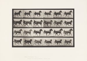 Plate 613. Trotting; Sulky; Sorrel Mare Nellie Rose 作者 爱德沃德·迈布里奇