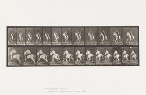 Plate 630. Gallop; Saddle; Gray Mare Pandora 作者 爱德沃德·迈布里奇