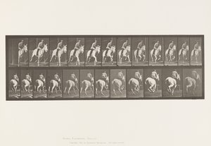 Plate 635. Gallop; Saddle; Gray Mare, Pandora 作者 爱德沃德·迈布里奇