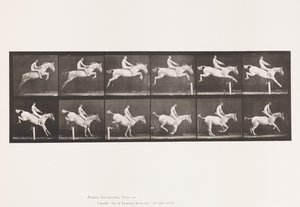 Plate 643.Jumping a Hurdle; Bareback; Clearing and Landing; 作者 爱德沃德·迈布里奇