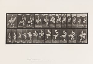 板646.跳出障碍;鞍;骑士，105，裸体;，1885年 作者 爱德沃德·迈布里奇