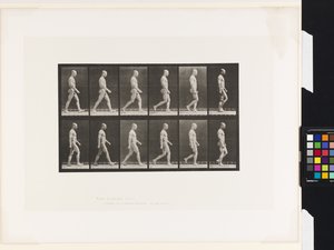 板块 6.Walking 作者 爱德沃德·迈布里奇