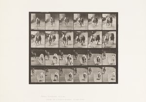 Plate 711. Dogs; Two Racing; A, B; Racing Hounds, Ike & Maggie 作者 爱德沃德·迈布里奇