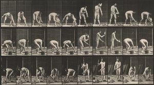 图版编号 506。砌砖，1887 年（照片） 作者 爱德沃德·迈布里奇
