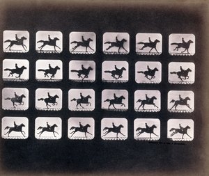 Eadweard J. Muybridge 的跑步（疾驰） 作者 爱德沃德·迈布里奇