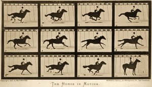 The Horse in motion，&39;Animal Locomotion&39;系列，c.1878