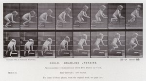 The Human Figure in Motion: Child, crawling upstairs (b/w photo) 作者 爱德沃德·迈布里奇