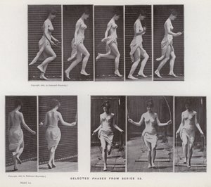 The Human Figure in Motion: Selected phases from series 53 (b/w photo) 作者 爱德沃德·迈布里奇