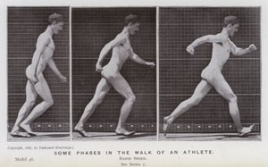 The Human Figure in Motion: Some phases in the walk of an athlete (b/w photo) 作者 爱德沃德·迈布里奇