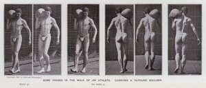 The Human Figure in Motion: Some phases in the walk of an athlete, carrying a 75-pound boulder (b/w photo) 作者 爱德沃德·迈布里奇