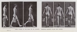 The Human Figure in Motion: Some phases in the walk of an athlete, carrying buckets filled with water (b/w photo) 作者 爱德沃德·迈布里奇