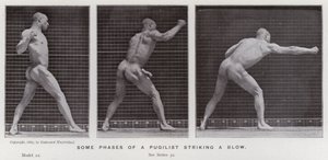 The Human Figure in Motion: Some phases of a pugilist striking a blow (b/w photo) 作者 爱德沃德·迈布里奇