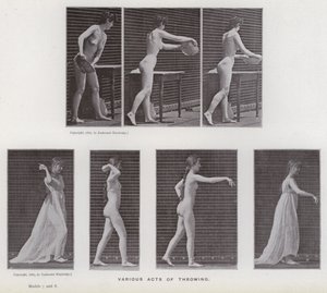 The Human Figure in Motion: Various acts of throwing (b/w photo) 作者 爱德沃德·迈布里奇