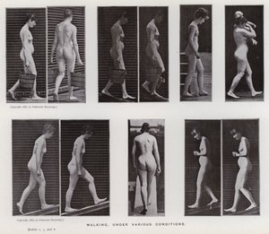 The Human Figure in Motion: Walking, under various conditions (b/w photo) 作者 爱德沃德·迈布里奇