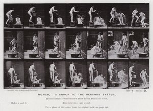 The Human Figure in Motion: Woman, a shock to the nervous system (b/w photo) 作者 爱德沃德·迈布里奇