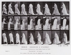 The Human Figure in Motion: Woman, ascending a stairway (b/w photo) 作者 爱德沃德·迈布里奇