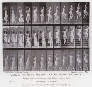 The Human Figure in Motion: Woman, turning around and ascending stairway (b/w photo) 作者 爱德沃德·迈布里奇