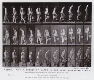 The Human Figure in Motion: Woman, with a bucket of water in one hand, ascending stairs (b/w photo) 作者 爱德沃德·迈布里奇