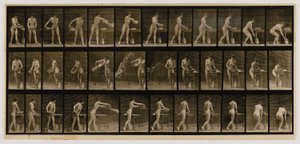 倒水的女人》，选自《动物运动》一书 作者 Eadweard Muybridge