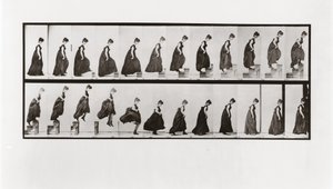女人爬楼梯和跳下来，板块173从动物运动，1887年 作者 爱德沃德·迈布里奇