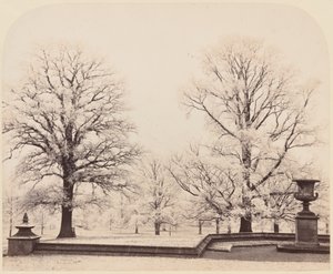 冰霜，公园风景，1862 年（照片） 作者 凯斯尼斯伯爵