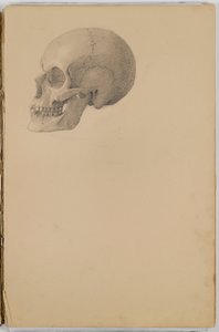 Anatomy Sketch Book，1849（包含石墨图纸的素描本）